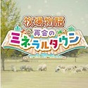 蜘蛛池初期培养方案是什么
