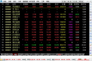 鼻子蜘蛛池