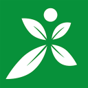 墨鱼蜘蛛池网络