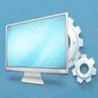 什么蜘蛛池好养活呢图片