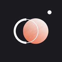 蜘蛛池 满天星