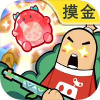 蜘蛛池与优化