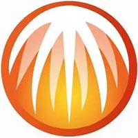 蜘蛛池与优化