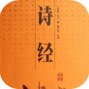 泛目录和蜘蛛池哪个好用