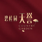 谷歌推广：数字营销的制胜之道