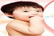 什么蜘蛛池好养活呢图片