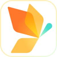 seo优化培训外推蜘蛛池